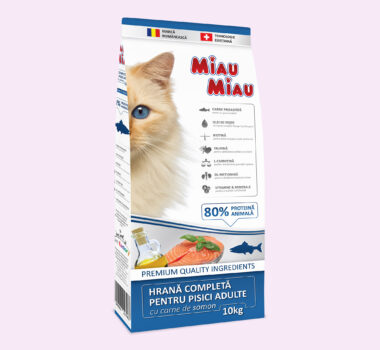 Beslenme kategorisinden örnek kedi kuru maması